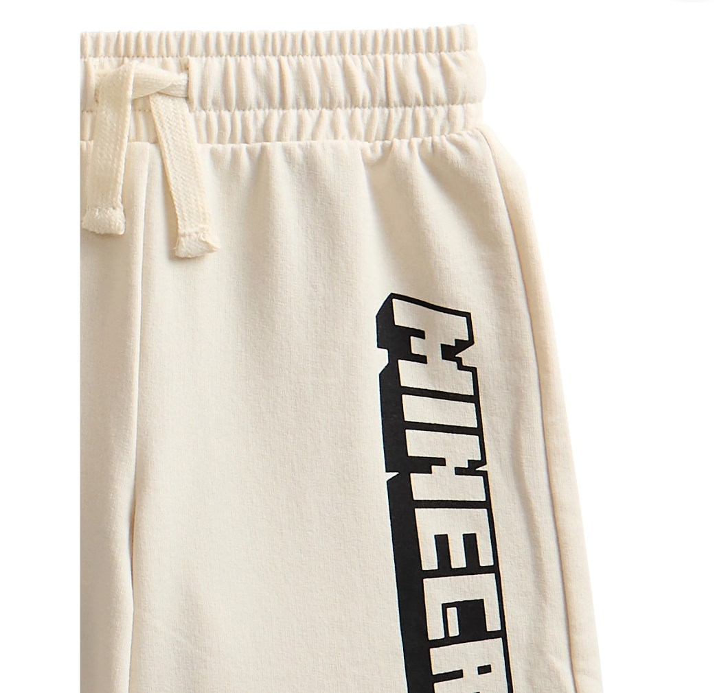 Minecraft boys graphic tea and fleece short set
