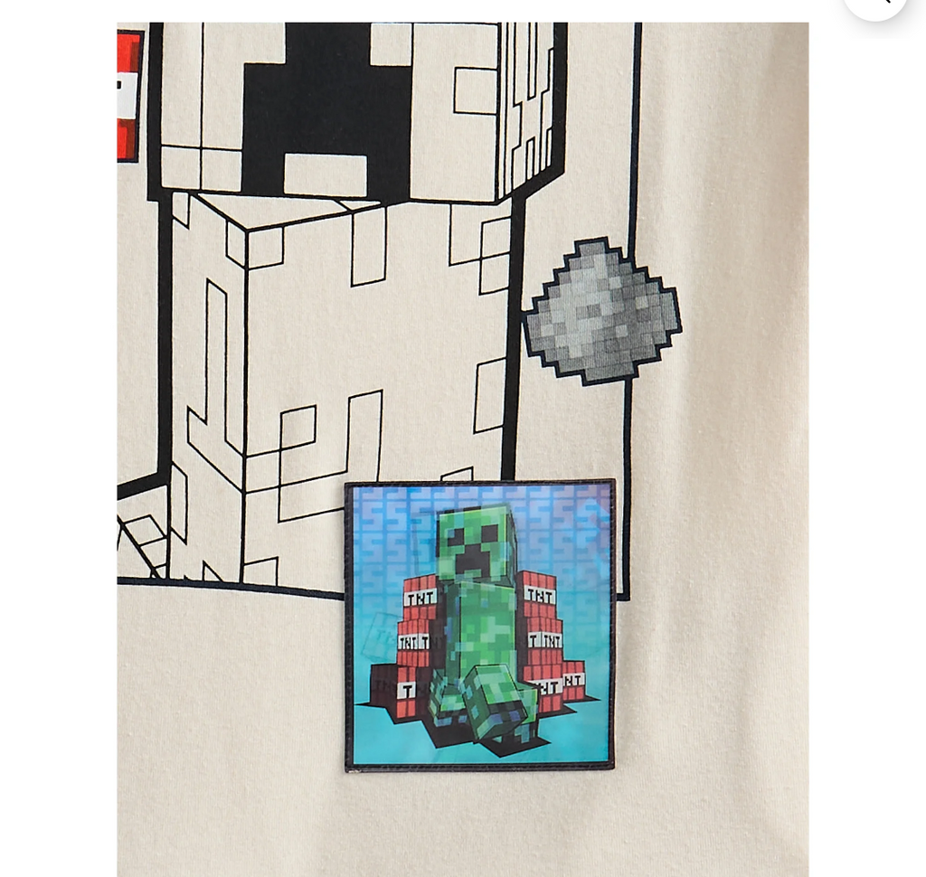 Minecraft boys graphic tea and fleece short set